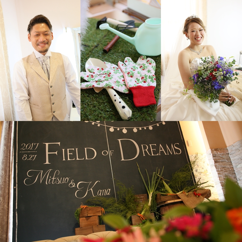 Field Of Dreams