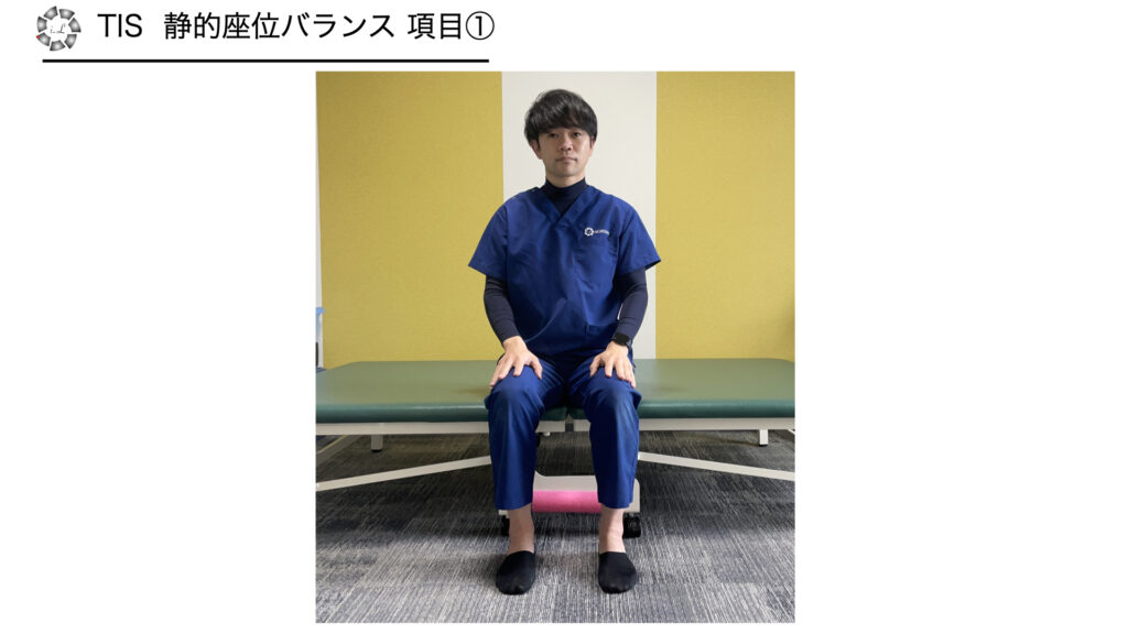 TIS 静的座位バランス 項目①