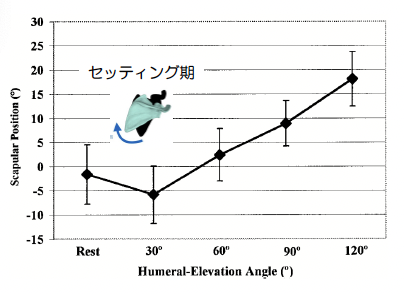 肩甲骨の運動機能を阻害する不良姿勢（円背・骨盤後傾）と正常姿勢の比較イラスト。体幹アライメントの崩れが肩甲骨の自由度を奪う様子
