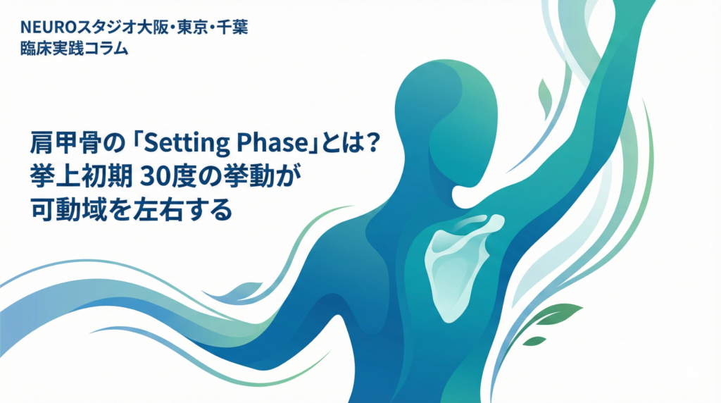 肩甲骨の「Setting Phase」とは？挙上初期30度の挙動が可動域を左右する