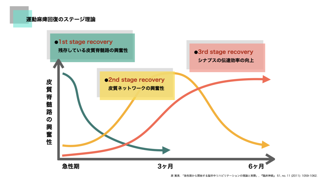 運動麻痺回復のステージ理論