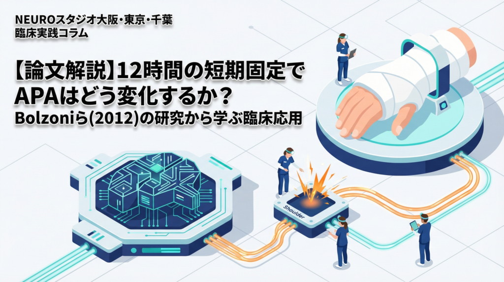 【論文解説】12時間の短期固定でAPAはどう変化するか？Bolzoniら(2012)の研究から学ぶ臨床応用